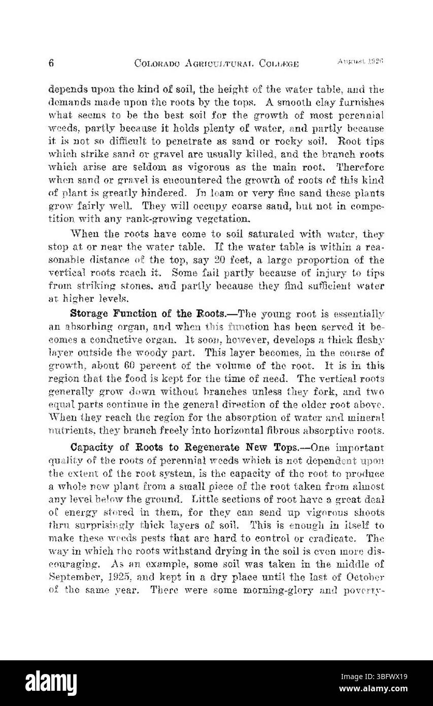 Ce document d'août 1926 identifie trois mauvaises herbes vivaces importantes qui affectent les paysages agricoles et naturels du Colorado. Ces mauvaises herbes sont reconnues pour leur adaptabilité et leur persistance, ce qui les rend difficiles à contrôler et à gérer. Banque D'Images