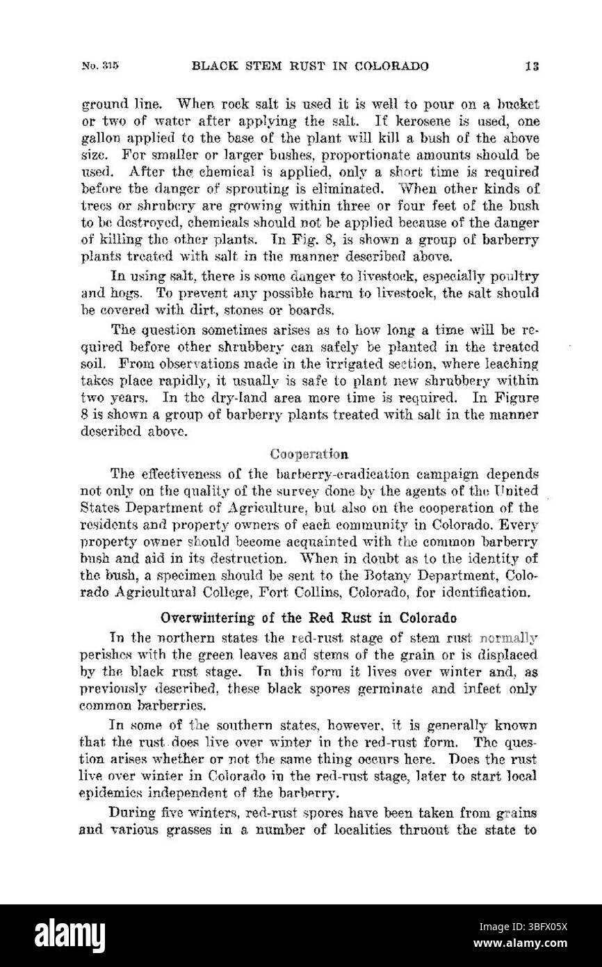 Cette page conclut la discussion sur les efforts d’éradication de l’épine-vinette au Colorado, en soulignant les mesures en cours pour réduire la propagation de la rouille de la tige noire et son impact sur la culture du blé. Banque D'Images