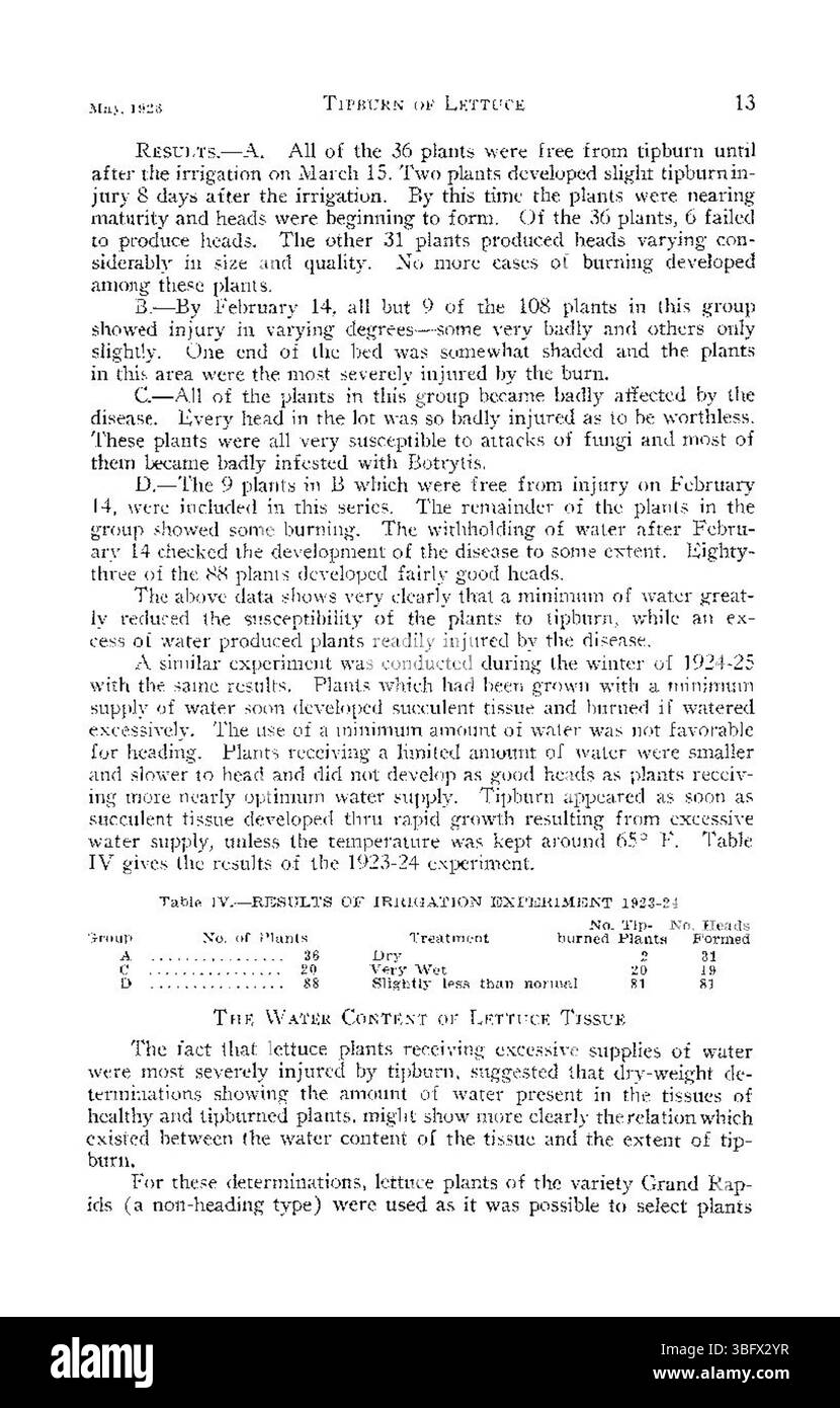 Cette section de 'brûlure de laitue' (1926) présente un examen complet des différentes causes de brûlure de la pointe, allant des facteurs environnementaux aux facteurs biologiques et de leur impact sur le rendement des cultures. Banque D'Images