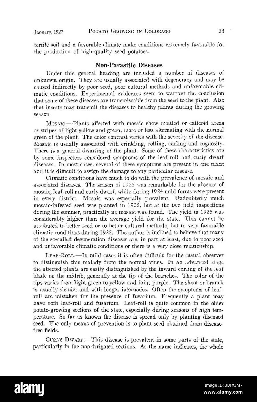 En janvier 1927, cette photographie a capturé le processus de culture de la pomme de terre au Colorado, en mettant l'accent sur les pratiques agricoles et les outils utilisés pendant la saison. Banque D'Images