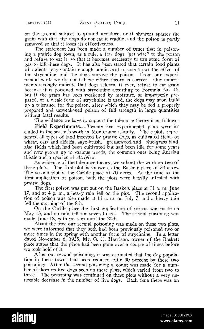 Cette photographie de 1926 capture un chien de prairie Zuni dans le comté de Montezuma, Colorado. Le chien de prairie Zuni est une sous-espèce du chien de prairie à queue noire, connue pour son rôle dans les écosystèmes locaux et le paysage unique du sud-ouest du Colorado. Banque D'Images