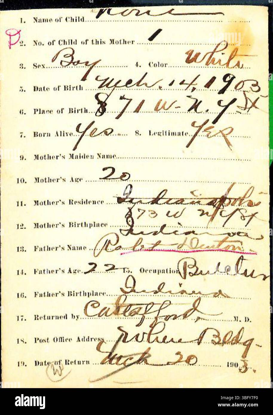 Les déclarations de naissance du comté de Marion pour les noms de famille commençant par d couvrent les années 1882-1907. Ces dossiers ont été déposés par des professionnels de la santé, y compris des médecins et des sages-femmes, auprès du Département de la santé du comté de Marion. Bien que l'enregistrement des naissances ait commencé en 1882, il n'était obligatoire qu'en 1907. Certains documents peuvent avoir été mal produits en raison de problèmes de lisibilité, car les déclarations sont classées par nom de famille par ordre alphabétique. Banque D'Images