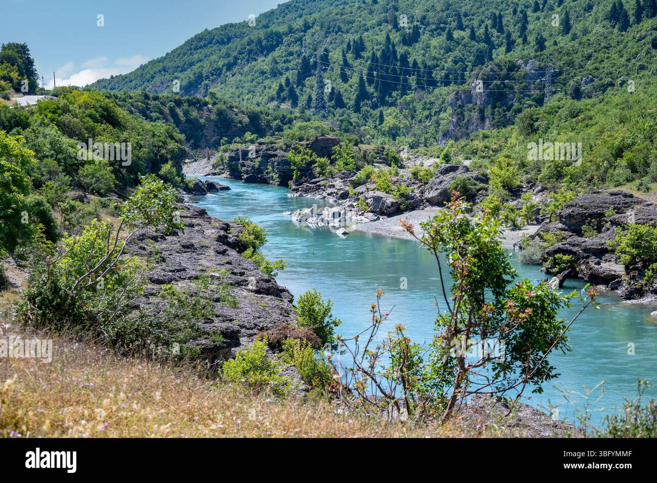 Rivière Vjosa près de Piskove, Albanie Banque D'Images