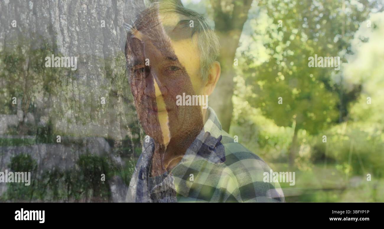 Image d'écureuils sur l'arbre au-dessus d'hommes âgés caucasiens Banque D'Images