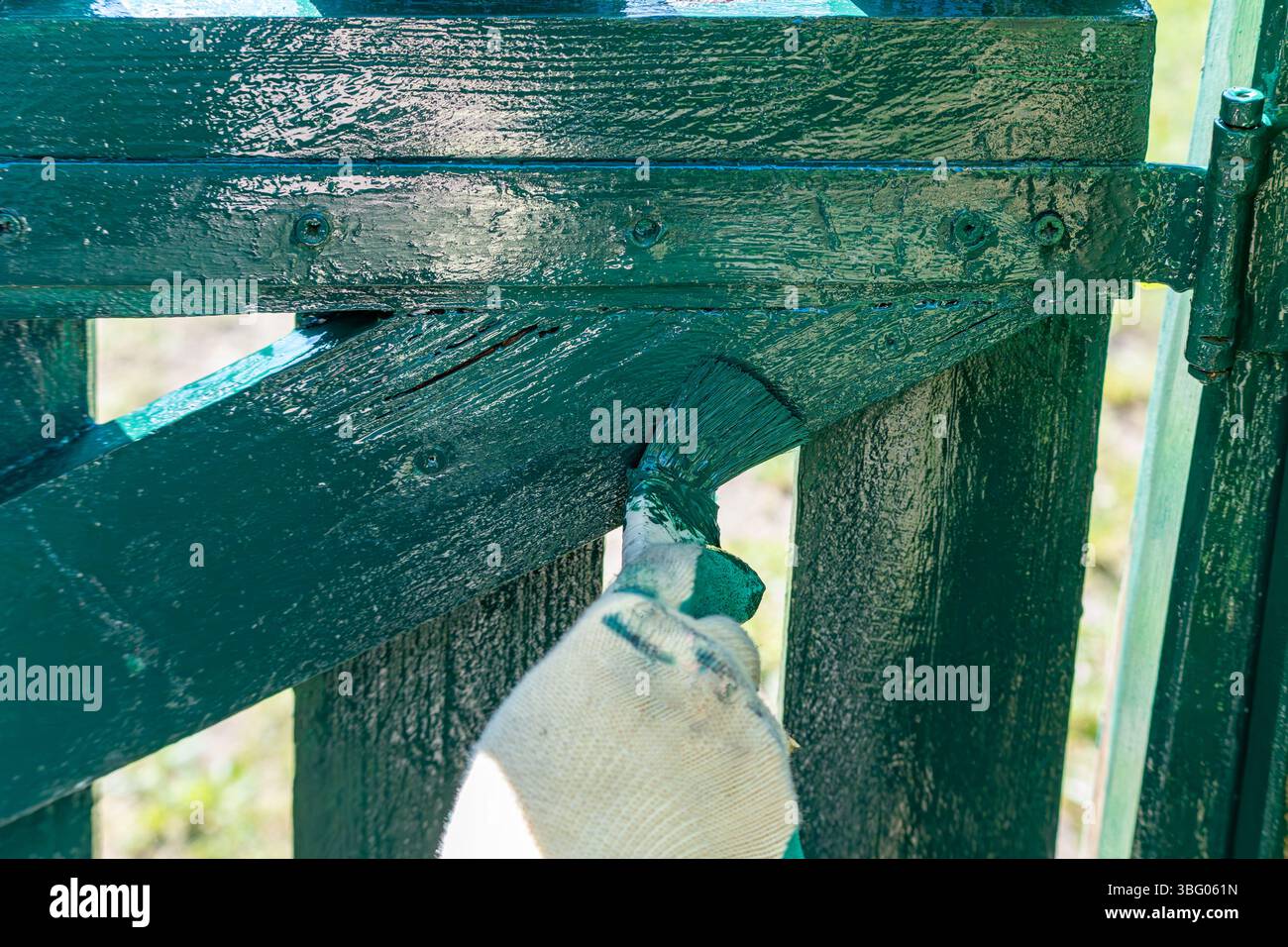 La peinture verte est soigneusement appliquée sur une porte en bois avec un pinceau. Le gros plan montre le savoir-faire artisanal et la brillance fraîche du vernis. Banque D'Images