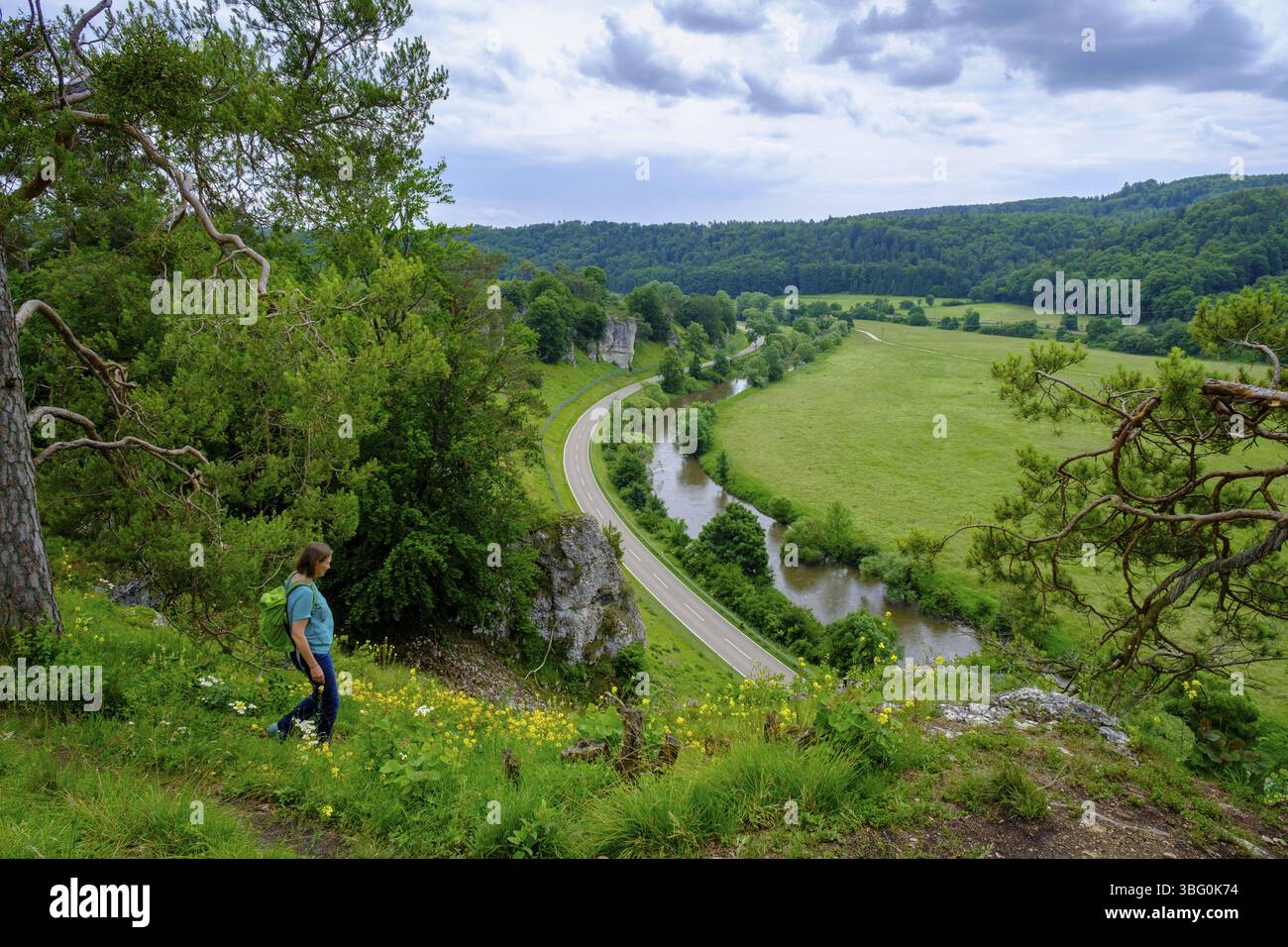 Altmuehl, Altmuehltal Panorama Trail, formation rocheuse des douze Apôtres, près de Solnhofen, Altmuehltal, moyenne Franconie, Franconie, Bavière, Allemagne, Euro Banque D'Images