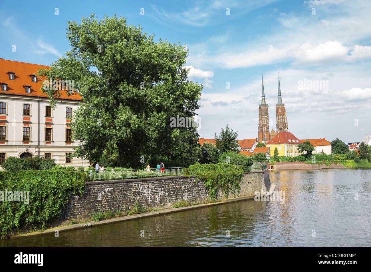 Île Ostrow Tumski et rivière Oder à Wroclaw, Pologne, Europe Banque D'Images