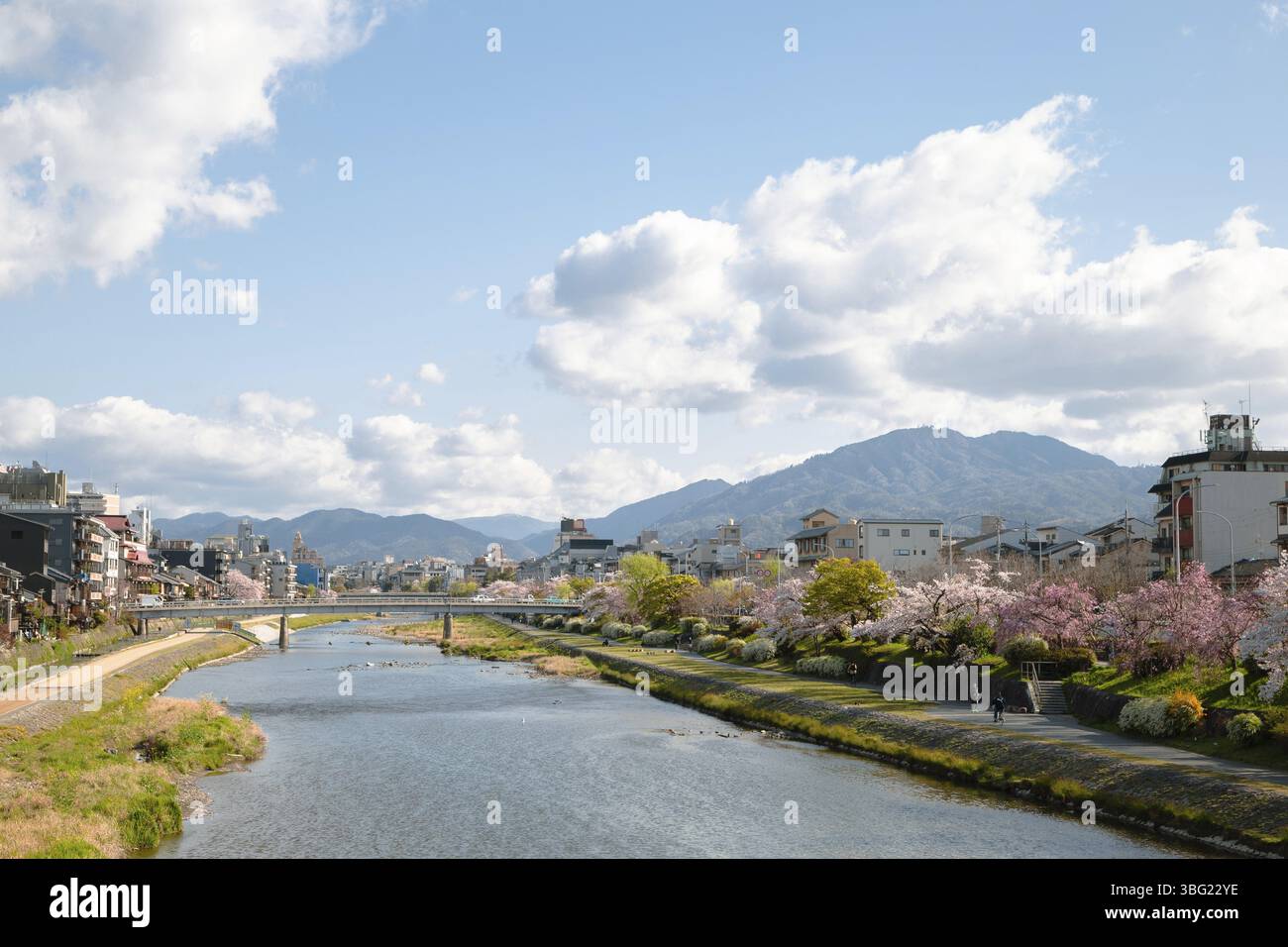 Rue Pontocho et rivière Kamo au printemps à Kyoto, Japon, Asie Banque D'Images