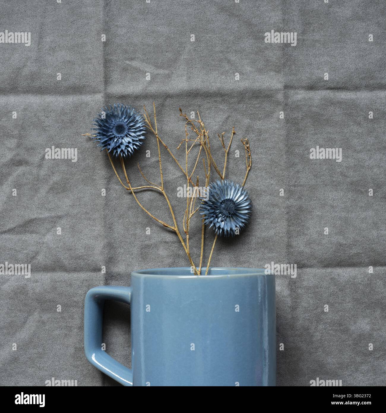 Séchez la branche et la fleur avec une tasse bleue sur fond de tissu gris. vue de dessus Banque D'Images