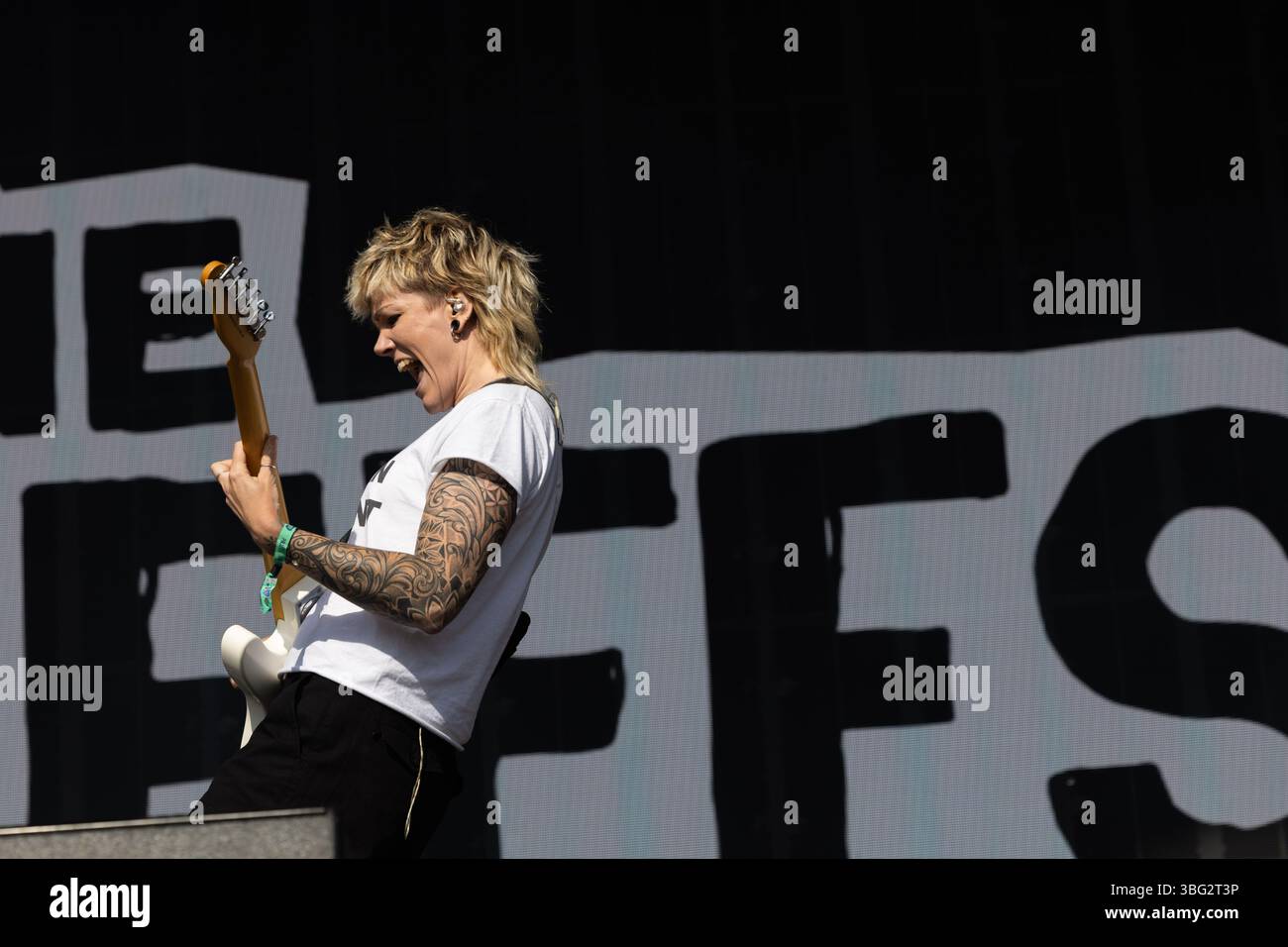 Les Meffs jouent en direct au festival Bearded Theory, Catton Hall, Derbyshire, mai 2025 Banque D'Images