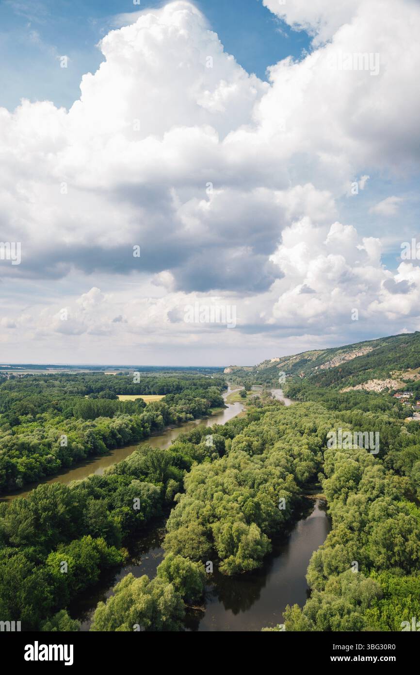 Danube et forêt à Devin Castle en Slovaquie Banque D'Images