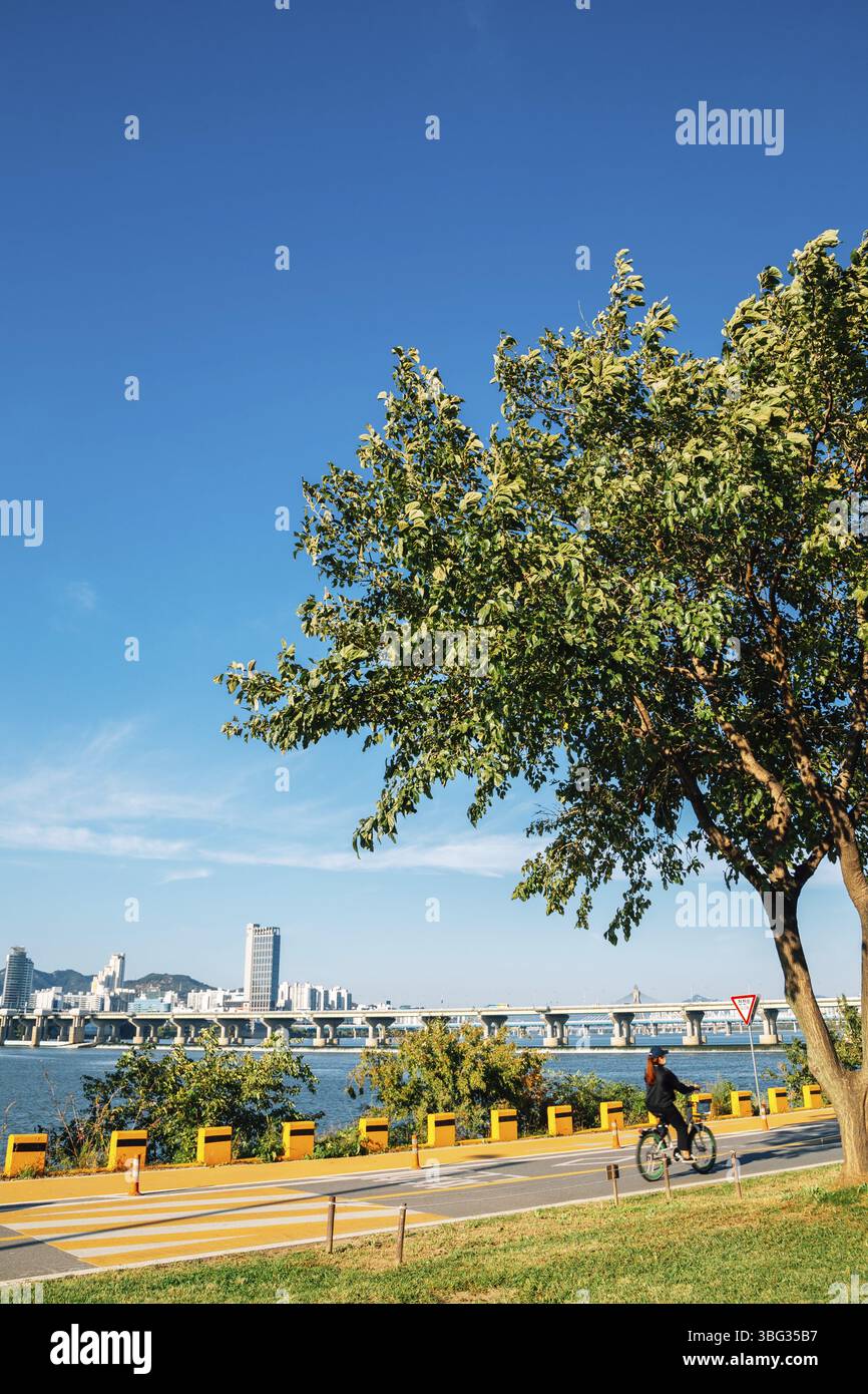 Parc fluvial Jamsil Hangang à Séoul, corée Banque D'Images