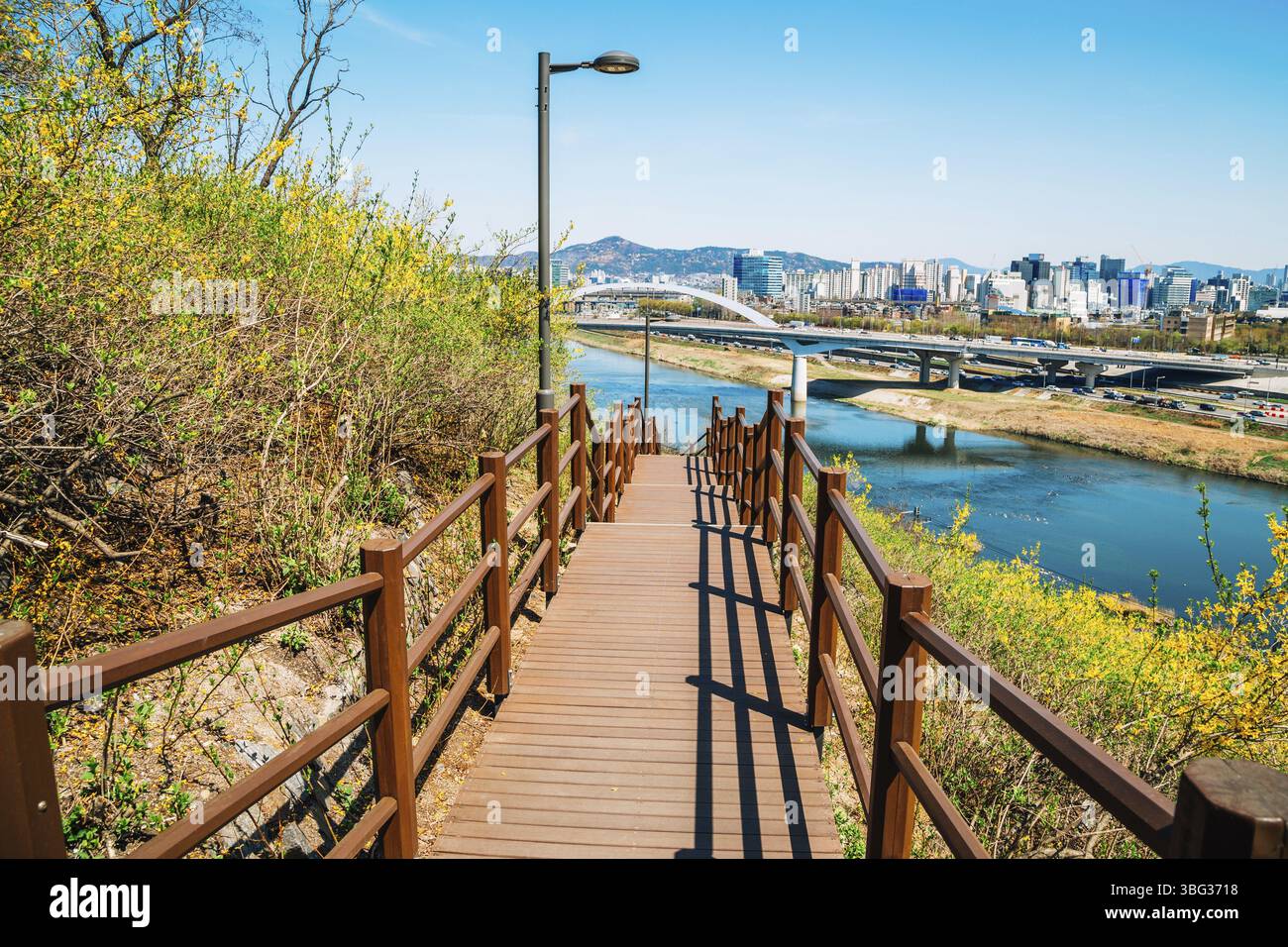 Vue de la ville de Séoul et Han river avec des fleurs de forsythia montagne Eungbongsan Banque D'Images