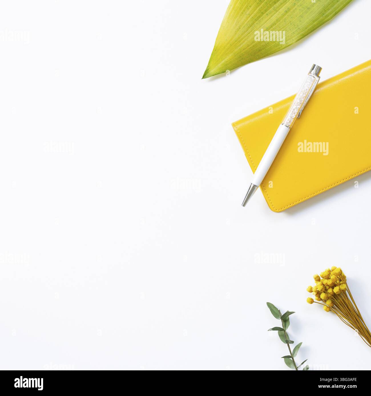 Lieu de travail et d'étude, fournitures de bureau avec décoration florale. Plat, vue de dessus, espace de copie Banque D'Images