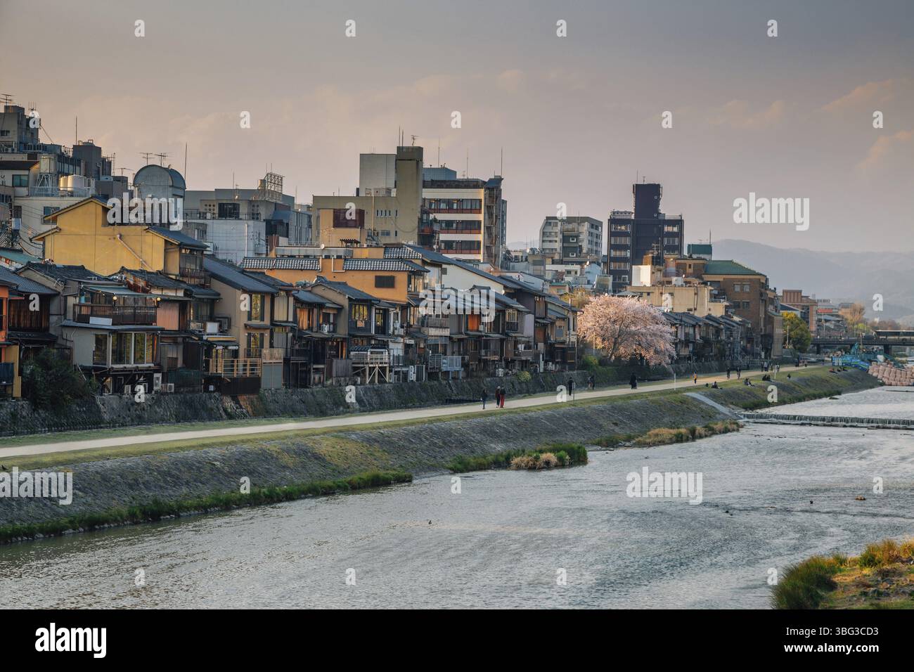 Gion Pontocho vieux restaurants, maisons traditionnelles japonaises avec rivière Kamo à Kyoto, Japon, Asie Banque D'Images