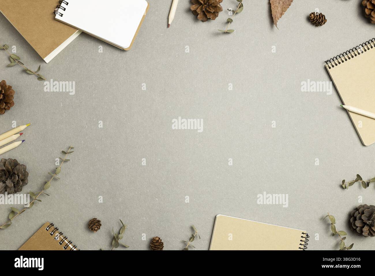 Carnets avec feuilles sèches, cônes en pin sur fond gris. pose à plat, vue de dessus, espace de copie. Lieu de travail et d'étude. Concept automne et hiver Banque D'Images