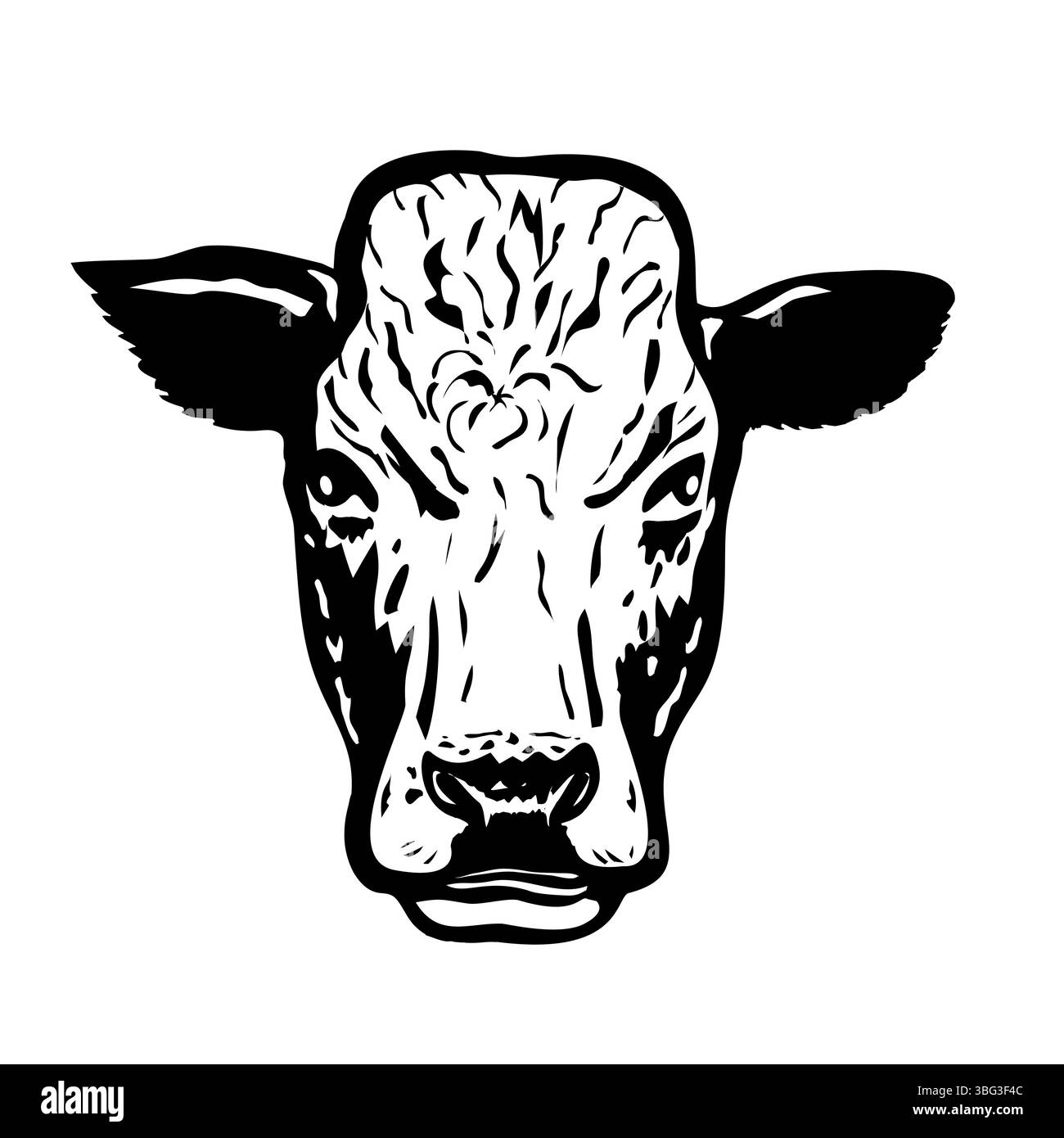 Illustration mascotte de la tête d'un Pustertaler Sprinzen, Pustertaler ou Pustertaler Schecken, une race italienne rare de bétail vue de face sur blanc isolé Illustration de Vecteur