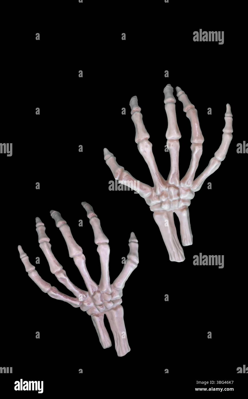 Halloween squelette mains isolé découpe sur noir Banque D'Images