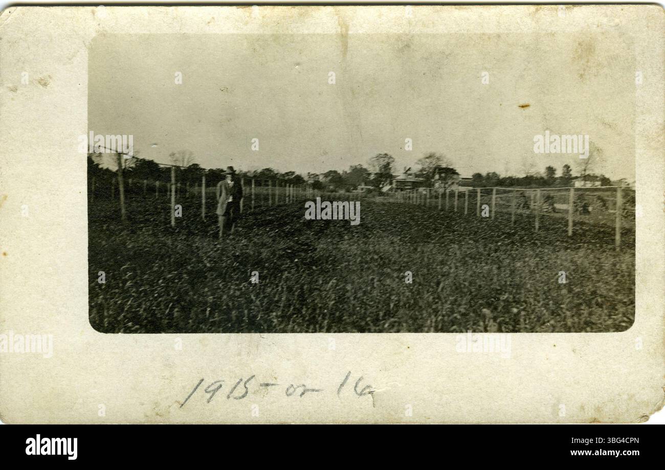 Cette photographie de 1915 met en valeur un champ de céleri et son système d’irrigation. La photo représente probablement une zone près du 3183 Dorris Avenue à Columbus, Ohio, capturant les pratiques agricoles de l'époque. Banque D'Images