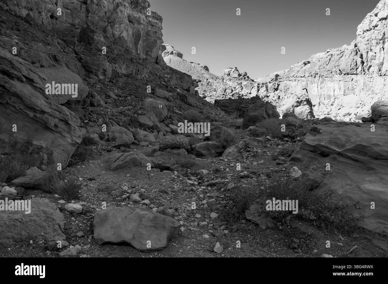Un paysage rocheux et aride avec quelques petites plantes poussant dans la terre. Le ciel est clair et le soleil brille Banque D'Images
