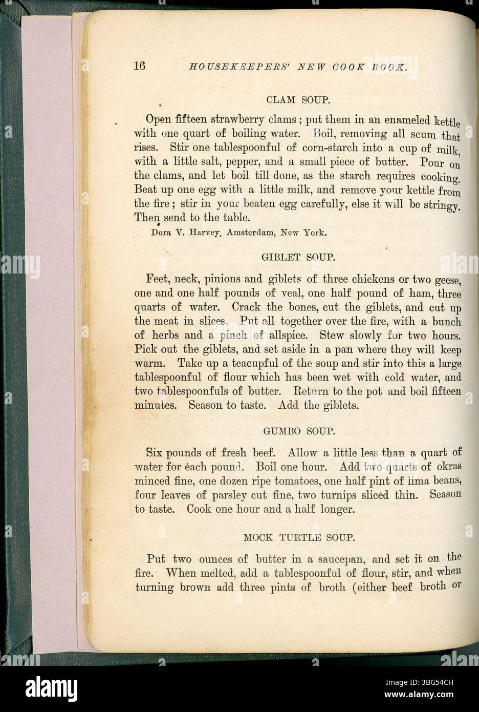 « The Housekeepers New Cook Book » de 1883 comprend près de 1 000 recettes et de précieux conseils pour les femmes de ménage. Il traite de la gestion domestique, de la préparation des repas, des techniques de cuisson et des conseils pratiques pour les femmes du XIXe siècle qui dirigent une maison. Banque D'Images