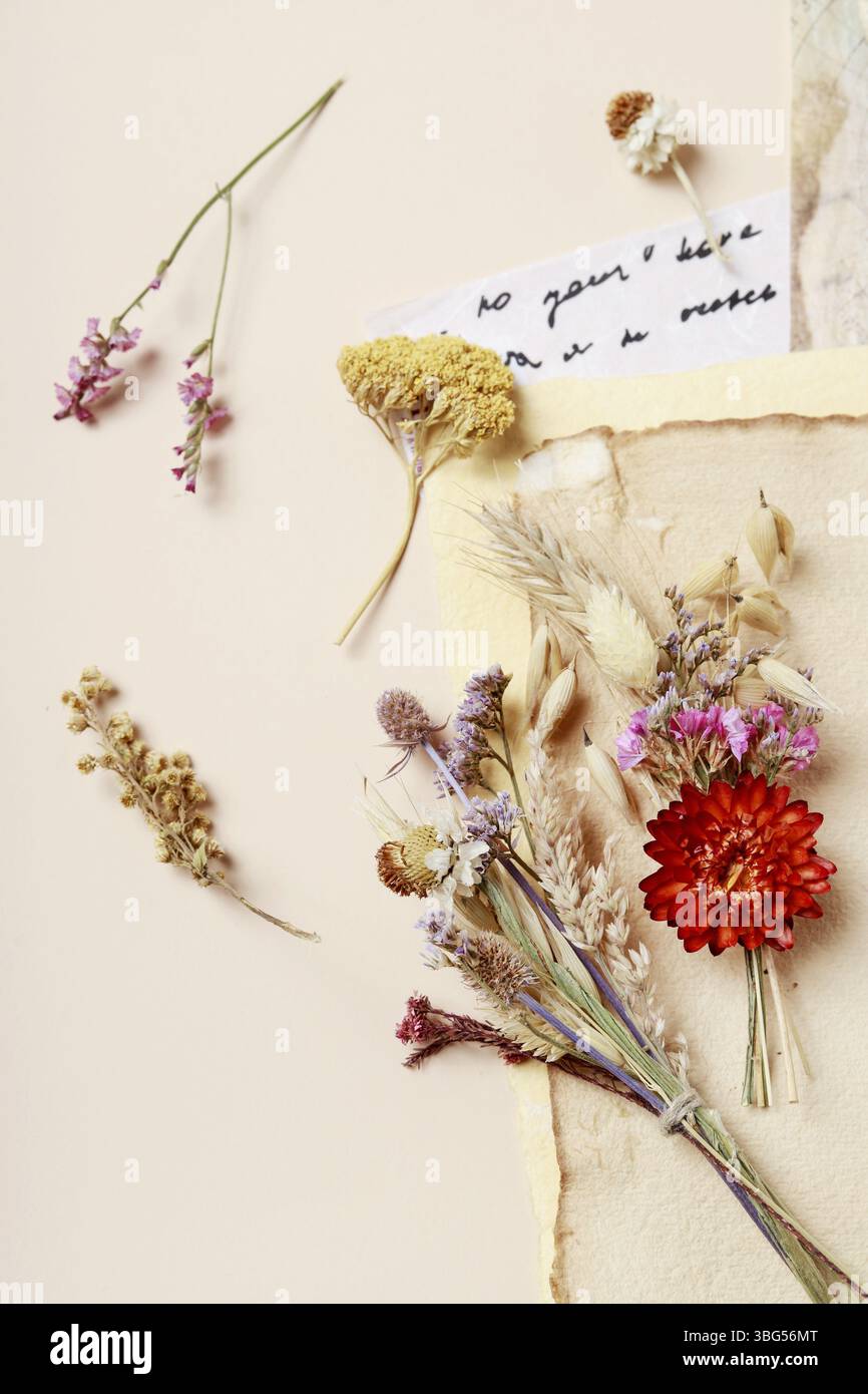 Plantes séchées, feuilles de papier décoratives et une lettre manuscrite. Ressources graphiques Banque D'Images