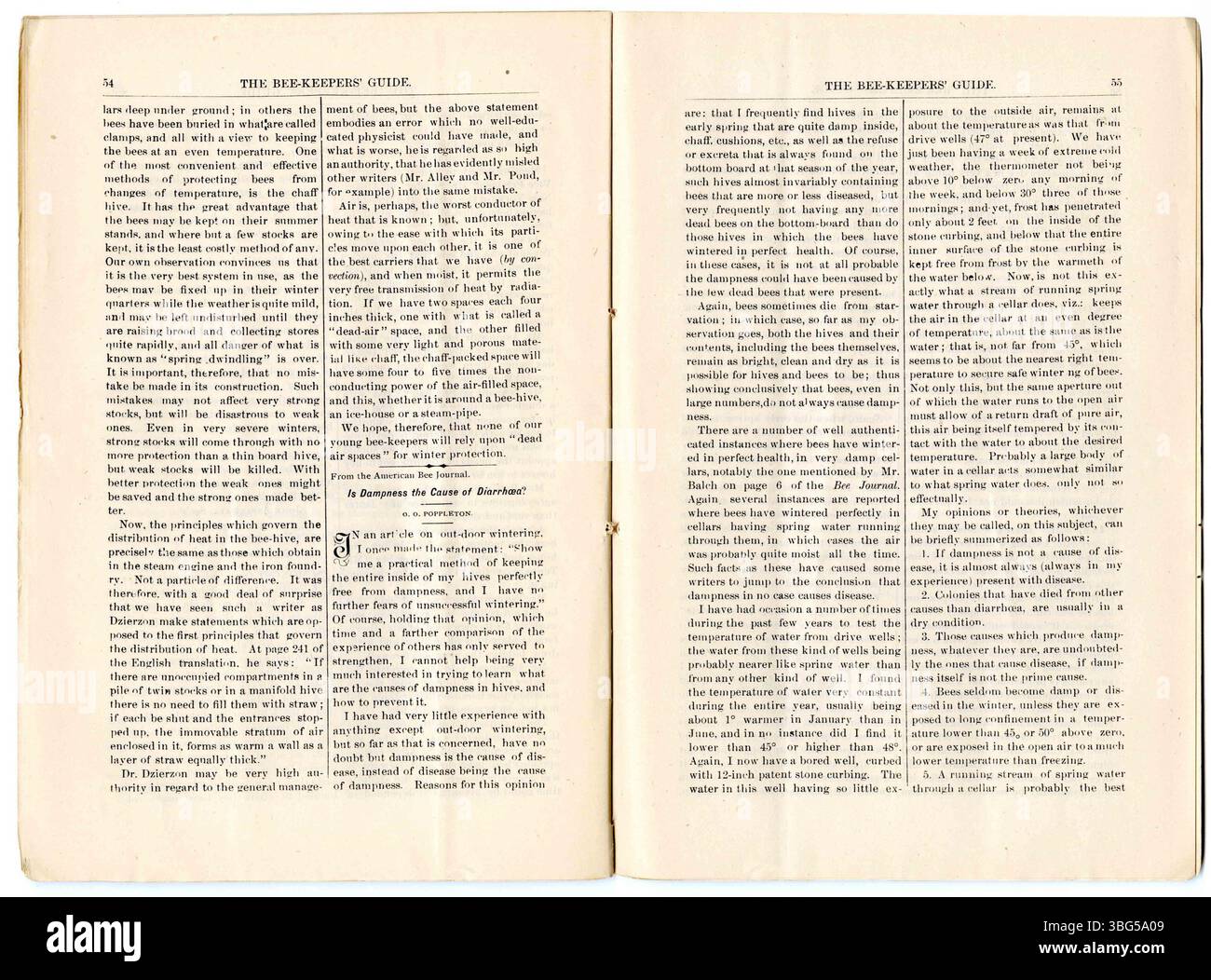 Page 13 de *The Bee-Keepers Guide* (février 1884) présente une discussion continue sur les pratiques apicoles, y compris des rapports sur les conventions de l’industrie et les tendances actuelles de la production et de la culture du miel. Banque D'Images
