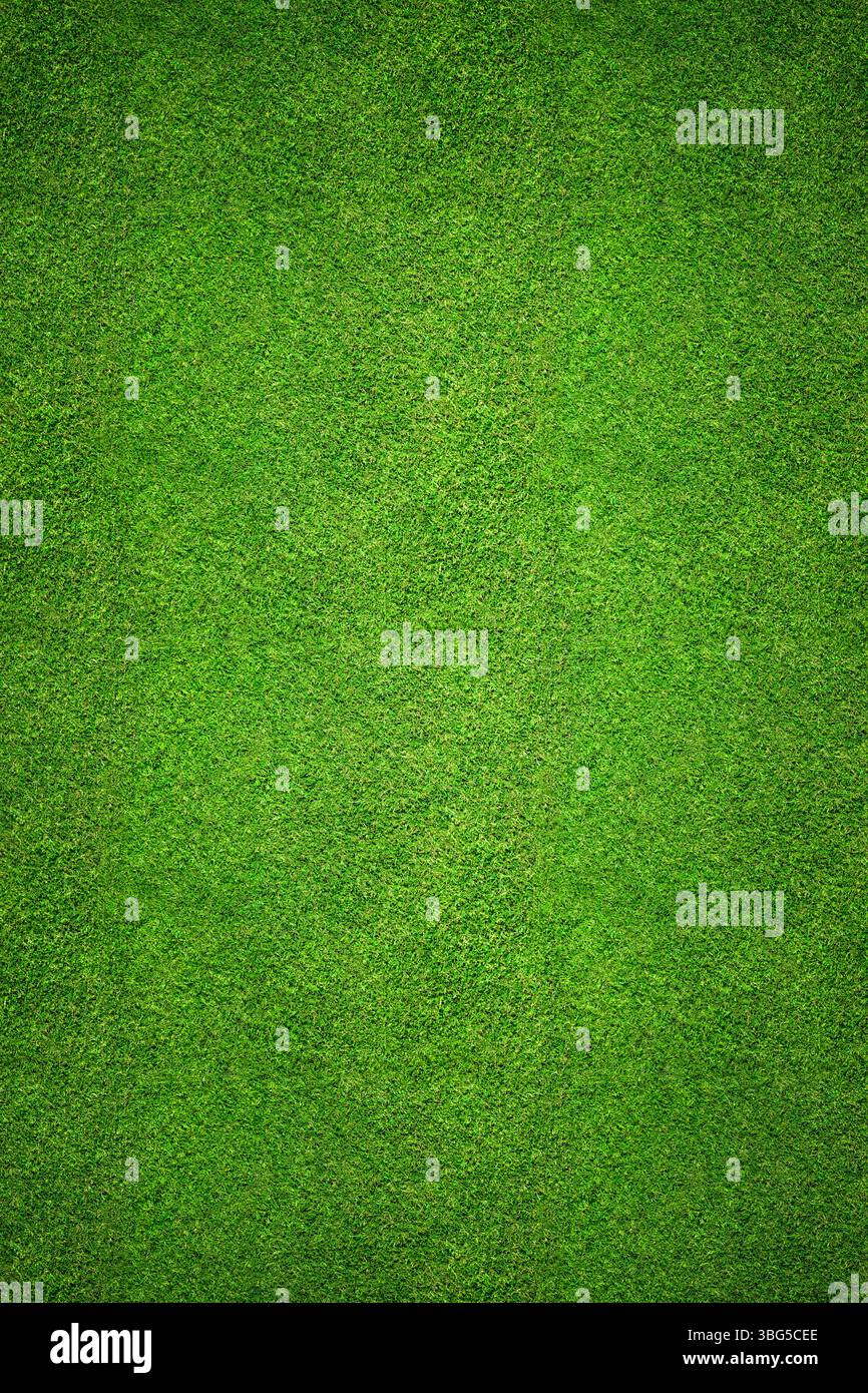 Vue de dessus d'arrière-plan d'herbe - image aérienne d'un champ d'herbe verte fraîchement coupé et sain comme texture de toile de fond. Banque D'Images