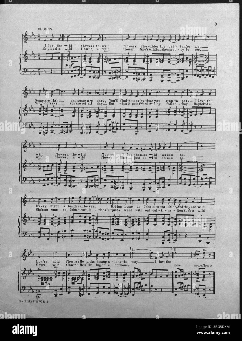 Cette partition de 1920 pour 'He Chosen A Wild Flower' présente une couverture avec un homme conduisant une voiture décapotable devant un champ de fleurs, où les visages des femmes sont visibles dans les fleurs. Banque D'Images