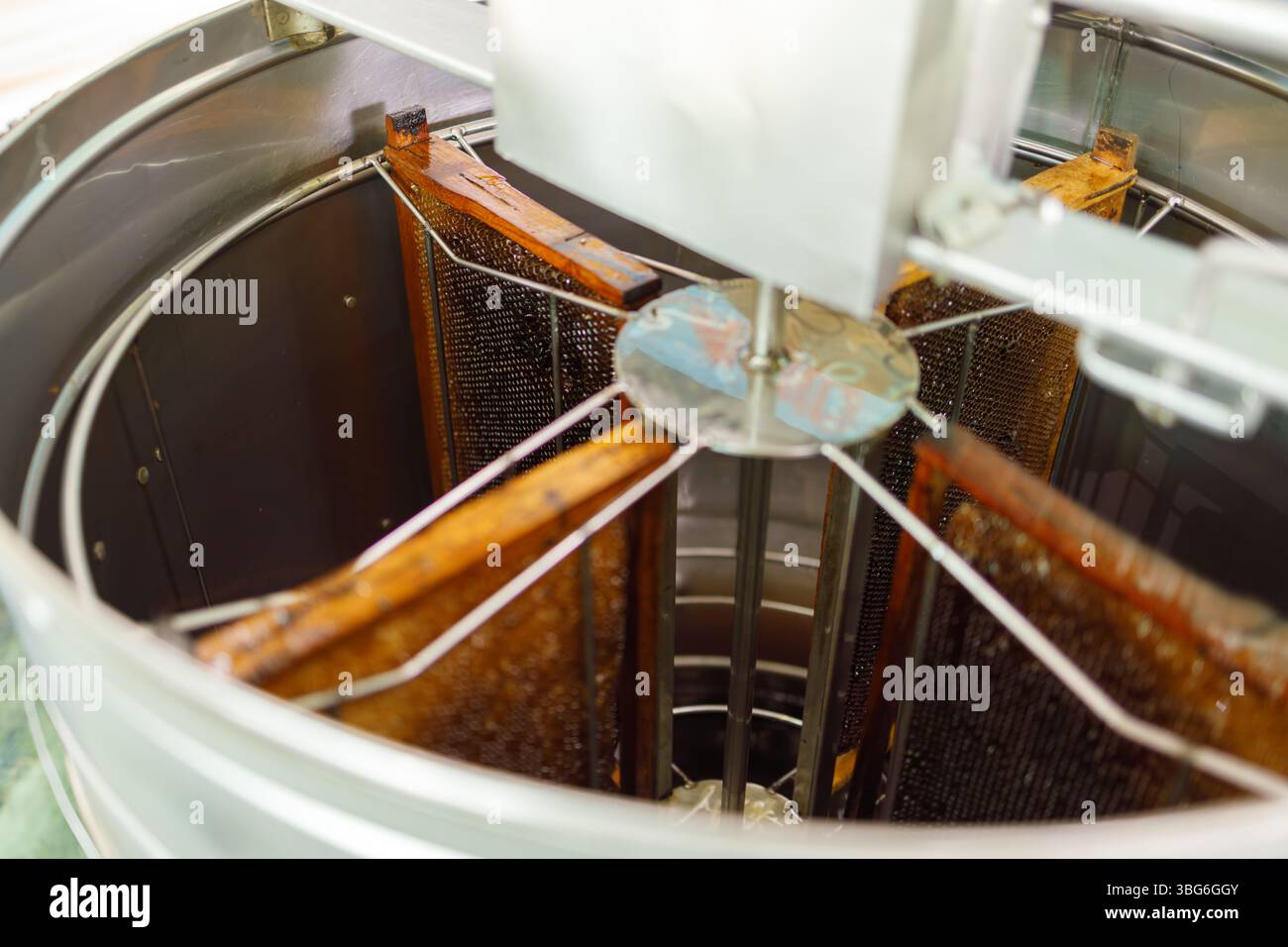 Apiculture, la croissance des abeilles dans le processus agricole pour l'extrait de miel, nourriture naturelle hautement nutritive de danger bug. Banque D'Images