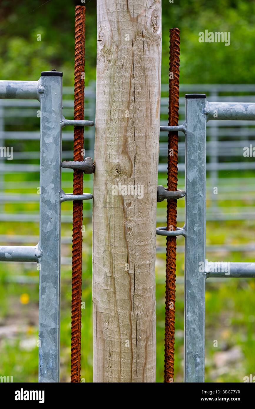 Gros plan de charnières rouillées de portail se connectant à un poteau en bois dans un cadre rural verdoyant, mettant en valeur les matériaux altérés et la nature. Banque D'Images