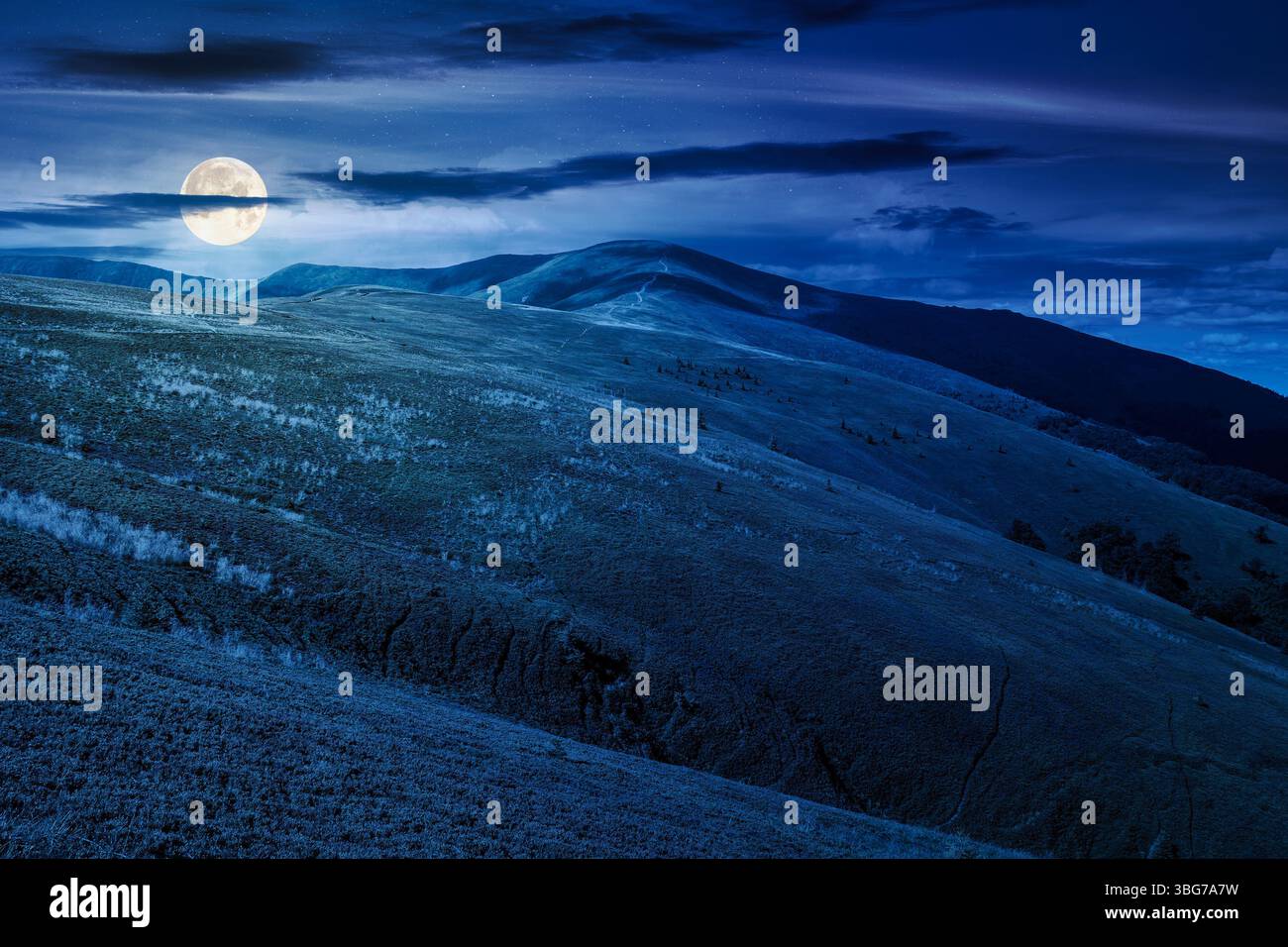 paysage de montagne avec des prairies verdoyantes en été la nuit. concept pittoresque de papier peint de destination de voyage. paysage avec des collines ondulantes en pleine lune li Banque D'Images paysage de montagne avec des prairies verdoyantes en été la nuit. concept pittoresque de papier peint de destination de voyage. paysage avec des collines ondulantes en pleine lune li Banque D'Images