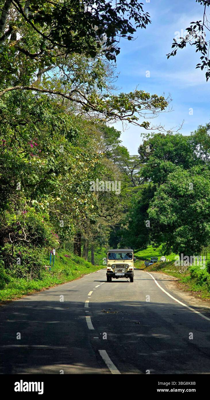 La belle route menant aux chutes d'Athirappilly au Kerala offre une vue imprenable sur la forêt tropicale environnante. - Image de stock capturée avec un smartphone