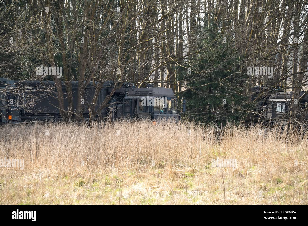 camion logistique de transport militaire sous couvert forestier Banque D'Images