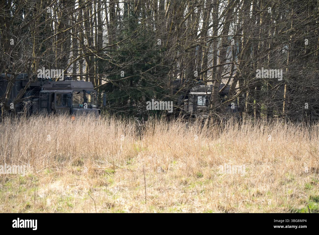 camion logistique de transport militaire sous couvert forestier Banque D'Images