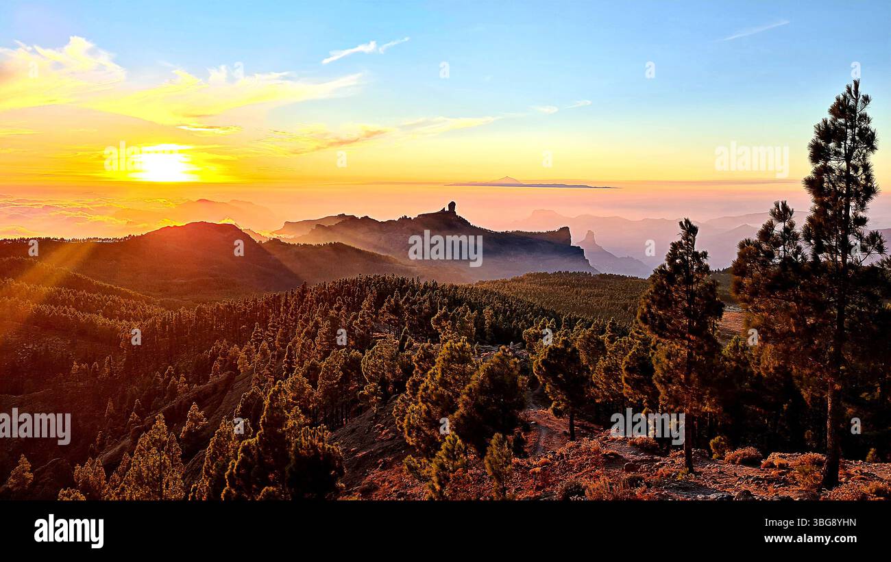 Paysage incroyable de Roque Nublo, Roque Bentayga, forêt, volcan Teide et coucher de soleil de Pico de las Nieves à Gran Canaria, îles Canaries, Banque D'Images