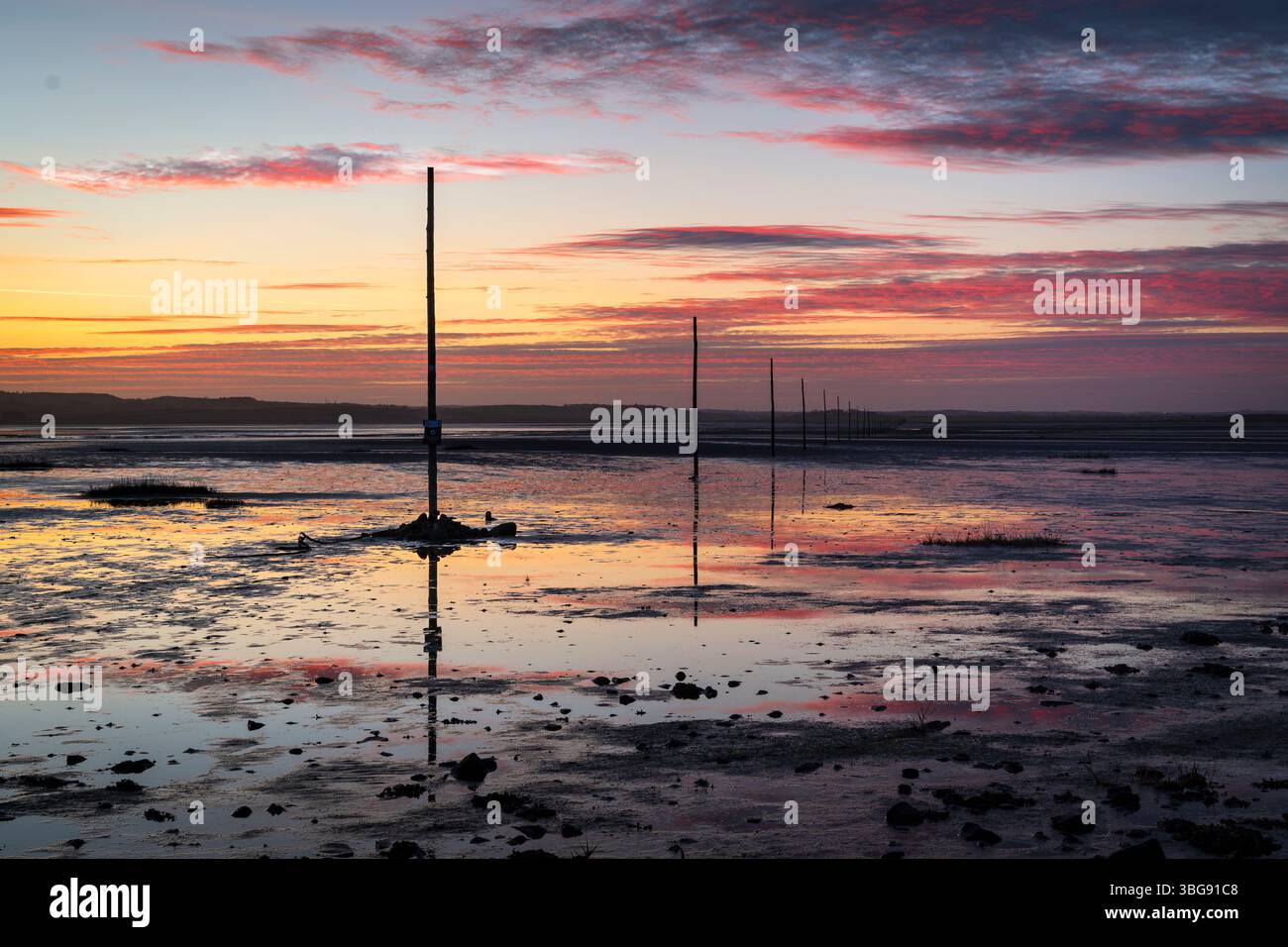 Angleterre, Northumberland, Northumberland Heritage Coast. Poteaux en bois marquant la chaussée du pèlerin reliant l'île Sainte de Lindisfarne au large du NOR Banque D'Images