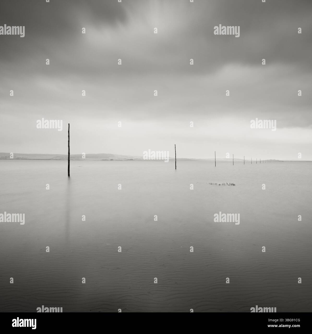 Angleterre, Northumberland, Northumberland Heritage Coast. Poteaux en bois marquant la chaussée du pèlerin reliant l'île Sainte de Lindisfarne au large du NOR Banque D'Images