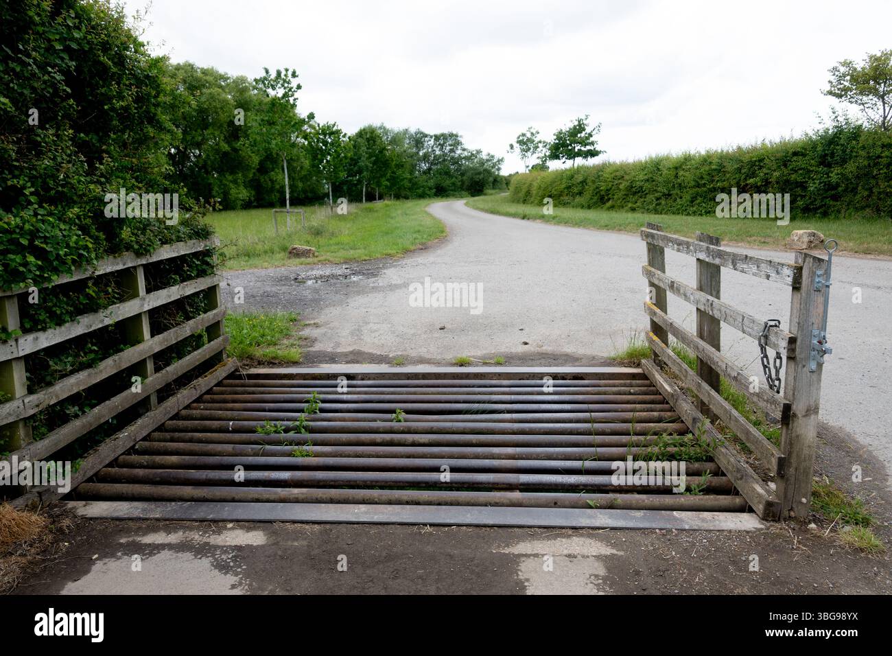 Une grille de bétail, Warwickshire, Royaume-Uni Banque D'Images
