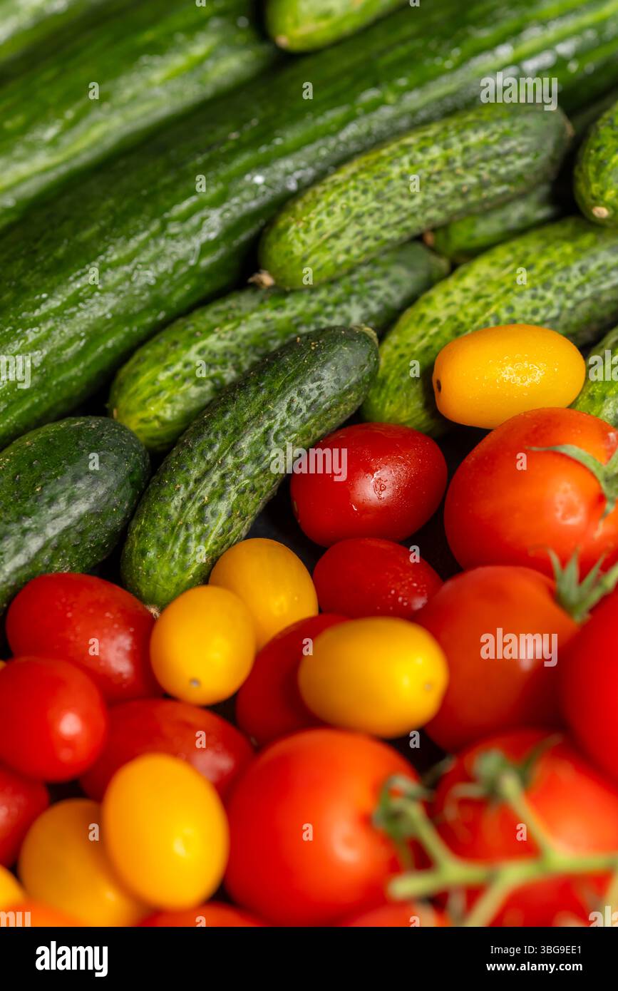 Concombres fraîchement cueillis et tomates rouges et jaunes mûres créant une nature morte colorée et saine Banque D'Images
