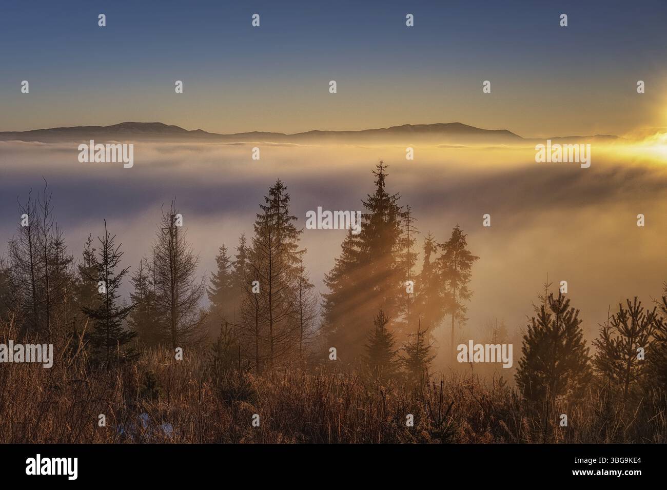 Brouillard dans les contreforts des Hautes Tatras au lever du soleil près de Strbske pleso en Slovaquie Banque D'Images