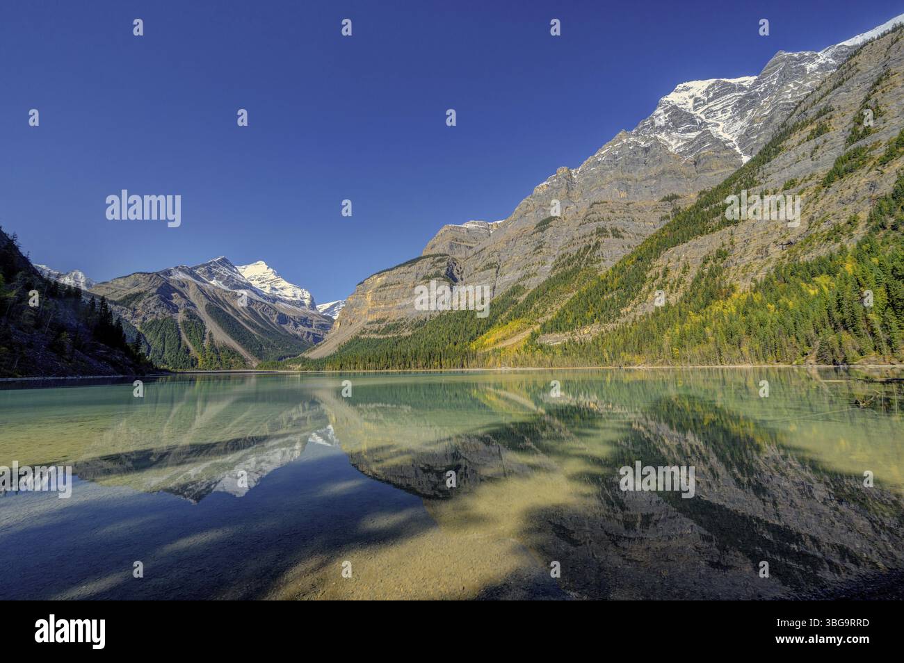 Belle scène de paysage d'automne en montagne en arrière-plan dans le parc national Jasper Ouest Canada avec des oiseaux Banque D'Images