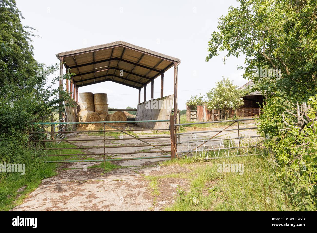 Crick, Northamptonshire, Royaume-Uni : une grange à foin ouverte presque vide derrière une porte fermée sur une cour de ferme. Seules quelques balles de foin rondes restent dans un coin. Banque D'Images