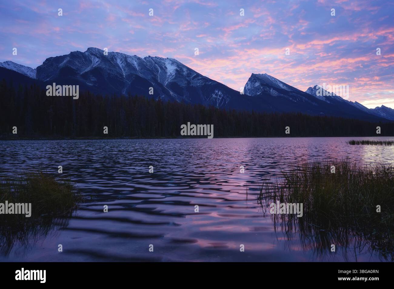 Belle scène de paysage d'automne en montagne en arrière-plan dans le parc national Jasper ouest du Canada Banque D'Images