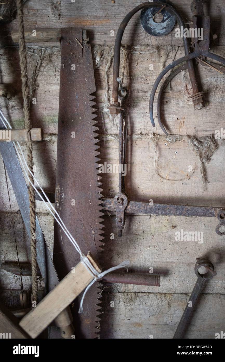 Une collection de vieux outils, y compris une scie rouillée et une paire de pinces, sont accrochés à un mur. Concept de nostalgie et le passage du temps, comme ces t Banque D'Images
