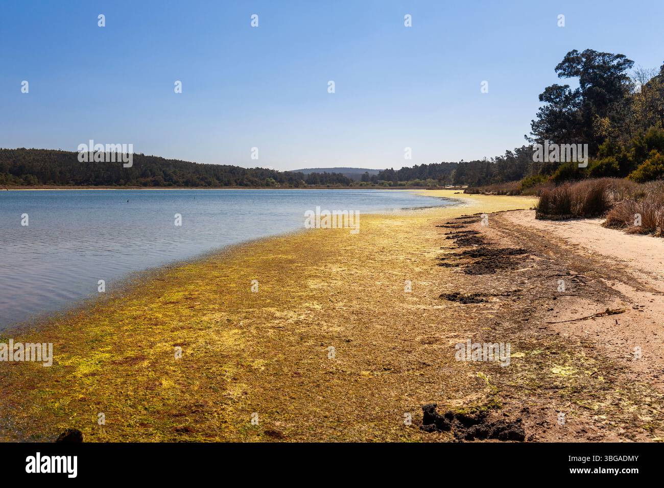 Portugal, région d'Oeste, la lagune de Óbidos (lagune de Óbidos) Banque D'Images