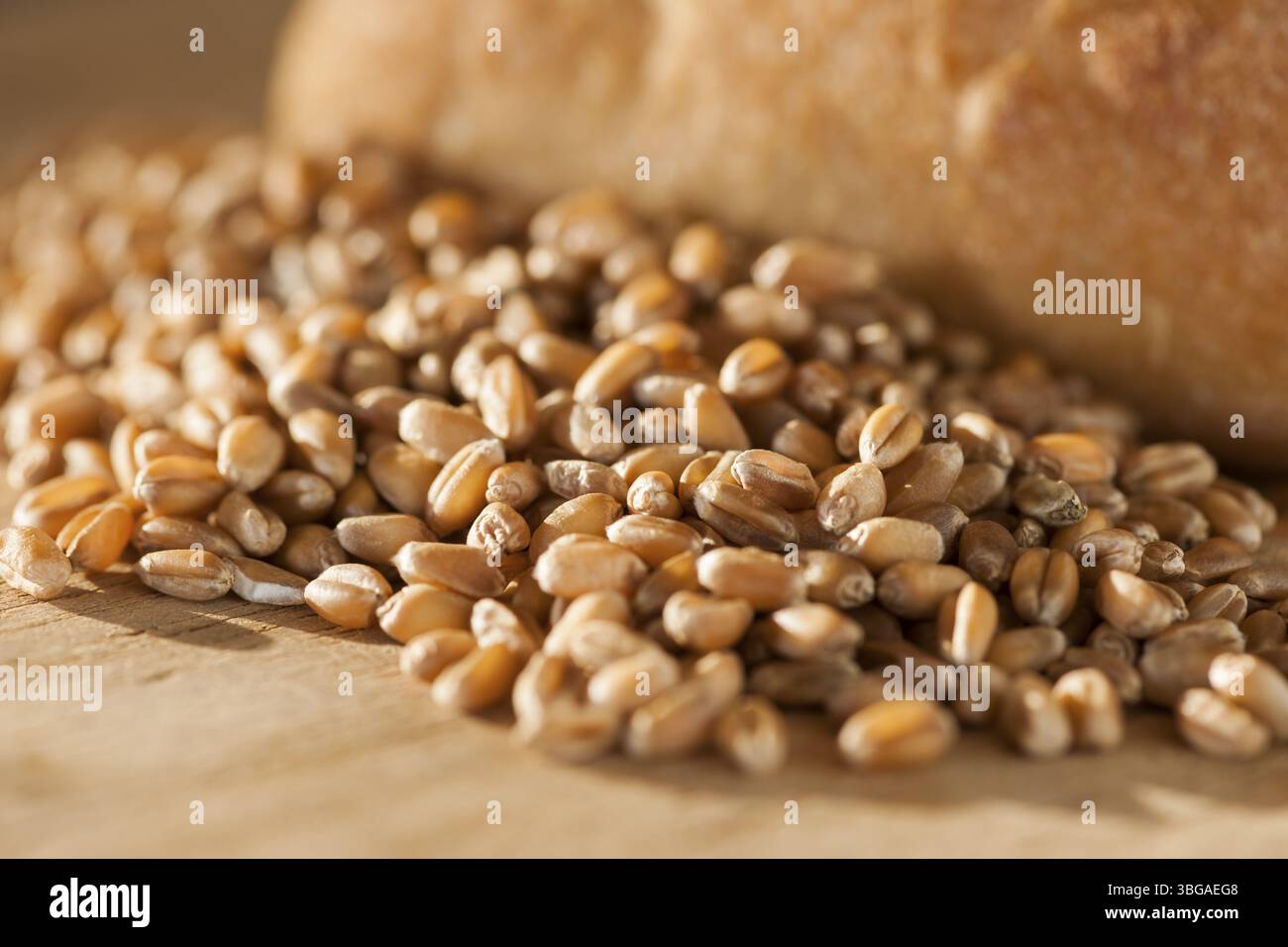 Gros plan de grains d'épeautre avec des petits pains sur un plateau de petit-déjeuner rond à la lumière latérale à la lumière latérale Banque D'Images Gros plan de grains d'épeautre avec des petits pains sur un plateau de petit-déjeuner rond à la lumière latérale à la lumière latérale Banque D'Images