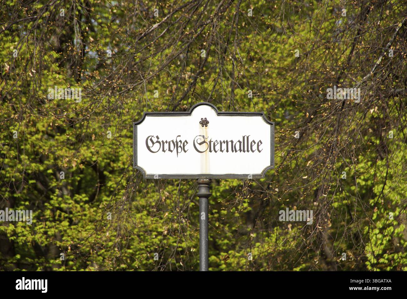 Signe pour grosse Sternallee à Berlin Tiergarten Banque D'Images