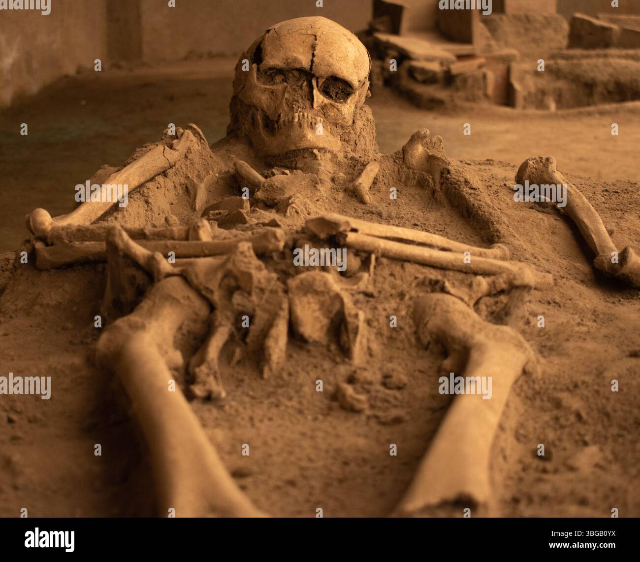 Squelette et crâne humains trouvés par des fouilles archéologiques à Viminacium, Serbie. squelette humain en gros plan Banque D'Images