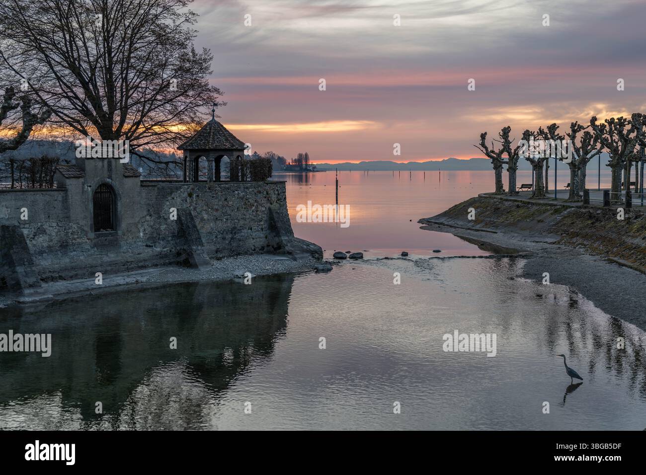 Beschreibung : Graureier sitzt im Wasserkanal gegenüber der Steinmauer am Steigenberger Hotel BEI der Morgendämmerung mit den Bergen am Horizont. Konst Banque D'Images